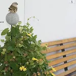 Schweizerhof Pensjonat 3*