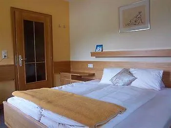 Schweizerhof Guest house 3*
