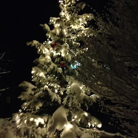 Gasthuis Schweizerhof Leutasch