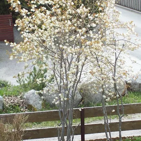 Schweizerhof 3* Leutasch