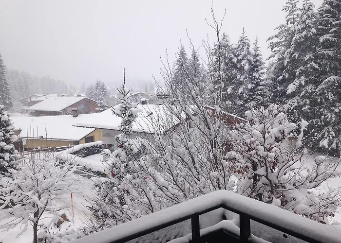 Schweizerhof Pensionat