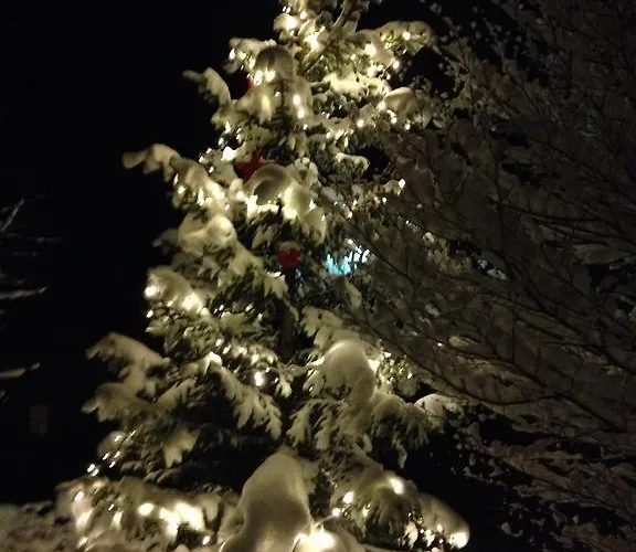 Pensionat Schweizerhof Leutasch