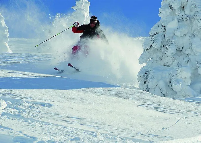 Pensionat Schweizerhof Leutasch