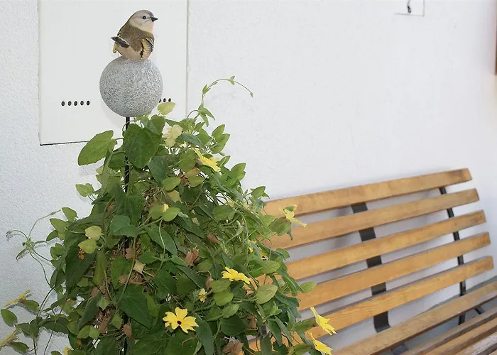 Schweizerhof Pensionat 3*