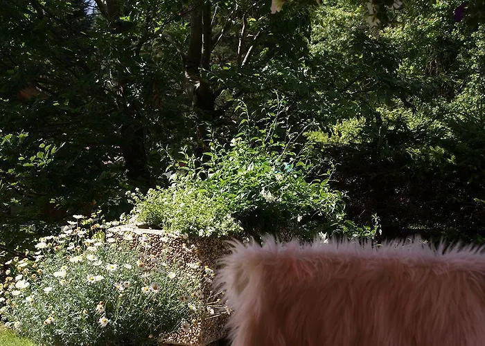 Schweizerhof Pensionat 3*