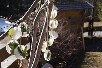 Schweizerhof Pensionat 3*