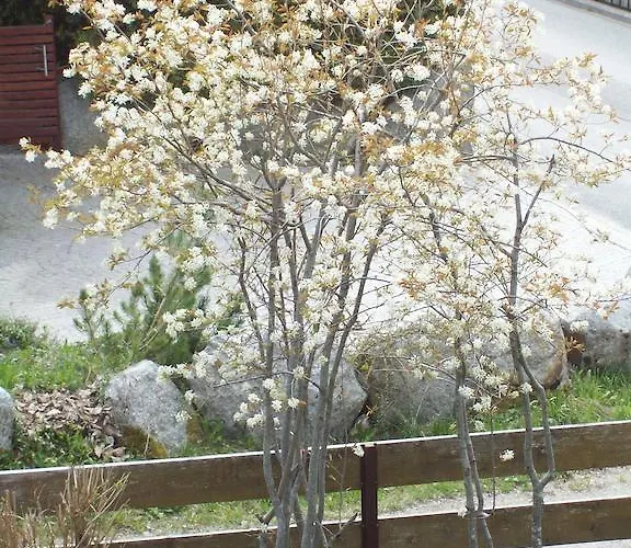 Schweizerhof 3* Leutasch