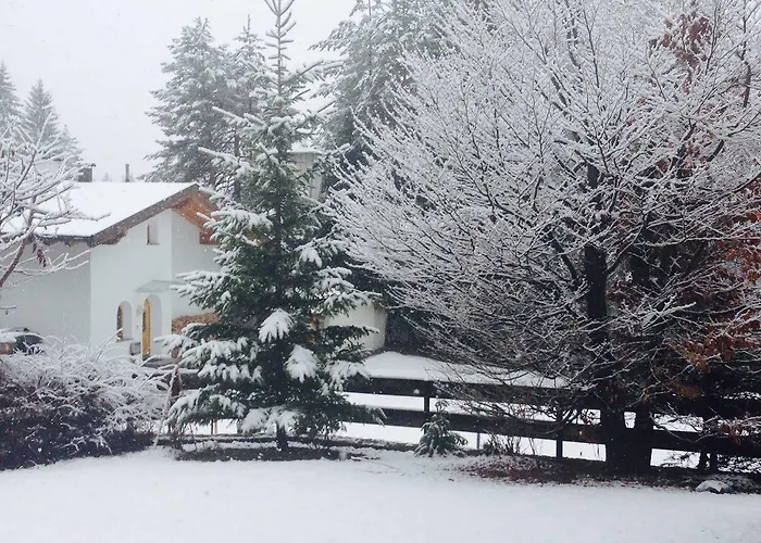 Pensionat Schweizerhof 3*